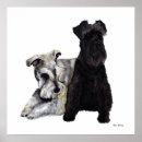 Search for schnauzer mini posters Miniature