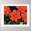 Search for spring love posters Garden