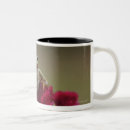Search for tree frog mugs Wildlife