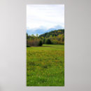 Search for flower fields posters Flowers