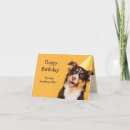 Search for life begins cards Humour