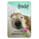 Search for options magnets Dog