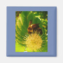 Search for nectar magnets Purple