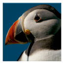 Search for atlantic posters Blue