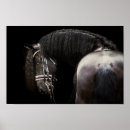 Search for friesians posters Black