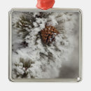 Search for yellowstone national park christmas tree decorations Montana