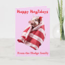 Search for funny pig christmas cards Pigs