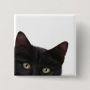 Search for curious badges Black cat