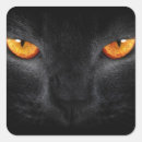 Search for black panther stickers Feline
