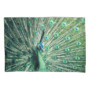 Search for peacock pillowcases Peafowl