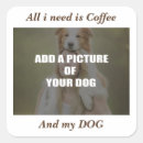 Search for coffee photo stickers Dog
