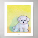 Search for bichons art Maltese
