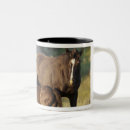 Search for north dakota mugs Nature