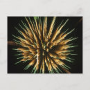 Search for july firework photography Night