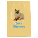 Search for siamese cat crafts party Feline