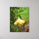 Search for dew canvas prints Tropical