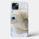 Search for back pack cases Bear
