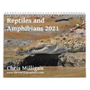 Search for reptile calendars Amphibians