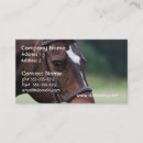 Search for arabs business cards Horse
