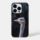 Search for ostrich iphone cases Funny
