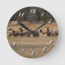 Search for elk clocks Wild