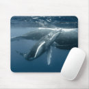 Search for undersea electronics Cute baby animal