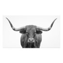 Search for texas longhorn art Bull