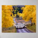 Search for sheep art posters Barn