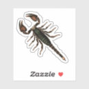 Search for scorpion stickers Vintage