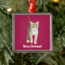 Search for tabby cat christmas tree decorations Cute kitten