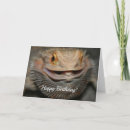 Search for bearded cards Dragon