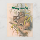 Search for mate postcards Vintage