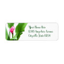 Search for flower design return address labels Pretty