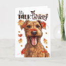 Search for funny turkey thanksgiving cards Dog