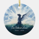 Search for rainbow bridge gifts Angel