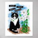 Search for inspirational cat posters Kitty