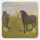 Search for grazing stickers Equine