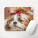 Search for shihtzu mouse mats Puppy