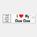 Search for chow bumper stickers Dog
