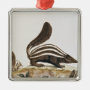 Search for skunk christmas tree decorations Mammal