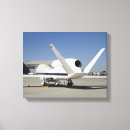 Search for reconnaissance plane art Spy