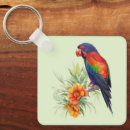 Search for colourful parrot key rings Watercolor