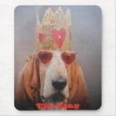 Search for king of dogs electronics Pet