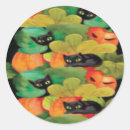 Search for beautiful cat stickers Unique