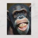 Search for cute chimpanzee postcards Photography