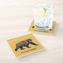 Search for bear coasters Brown