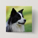 Search for with black border badges Pet