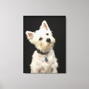 Search for collar canvas prints Nature