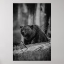 Search for white bear posters Modern
