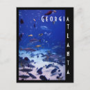 Search for saltwater postcards Aquarium